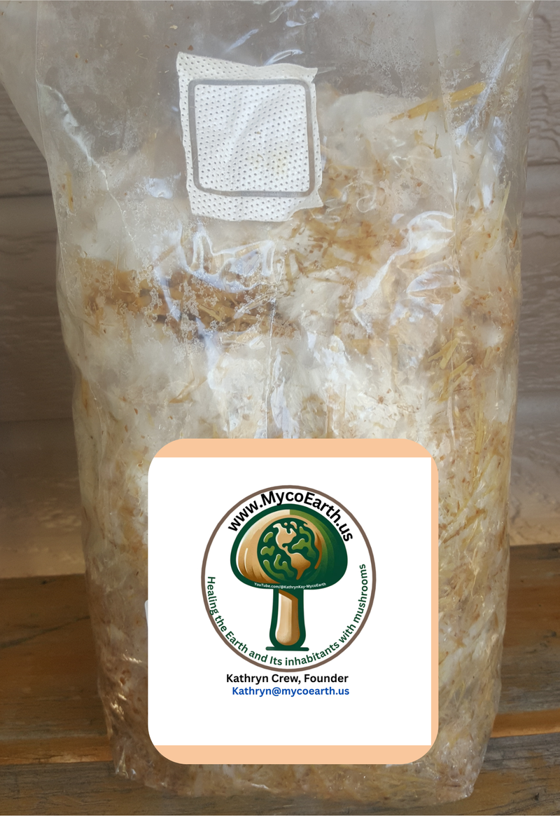 MycoEarth's Fungi First Garden Inoculant: Garden fungi on organic material matched to your delivery location.